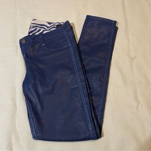 BLUELAB Reversible Detour pants Blue Zebra Pattern / Blue Coating Size 29